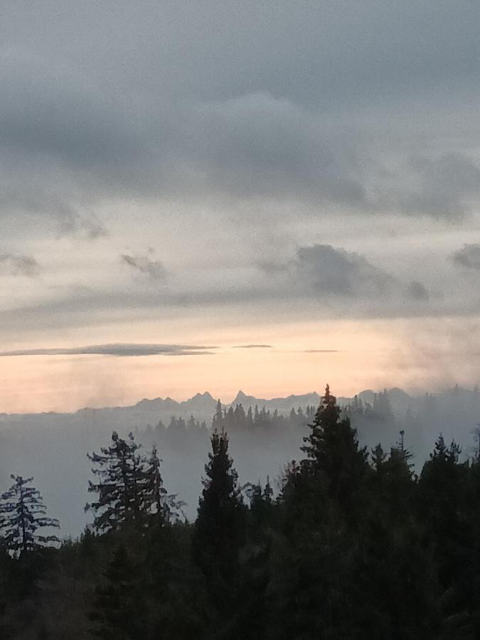 Terre De Sapins - Gites Nature Haut De Gamme Avec Sauna Au Coeur Du Lac Blanc 奥尔贝 外观 照片
