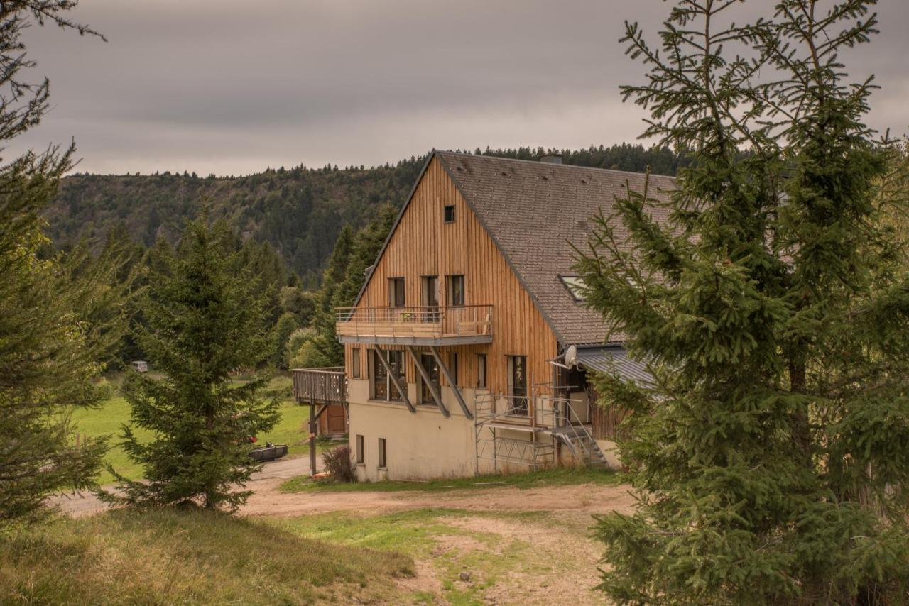 Terre De Sapins - Gites Nature Haut De Gamme Avec Sauna Au Coeur Du Lac Blanc 奥尔贝 外观 照片