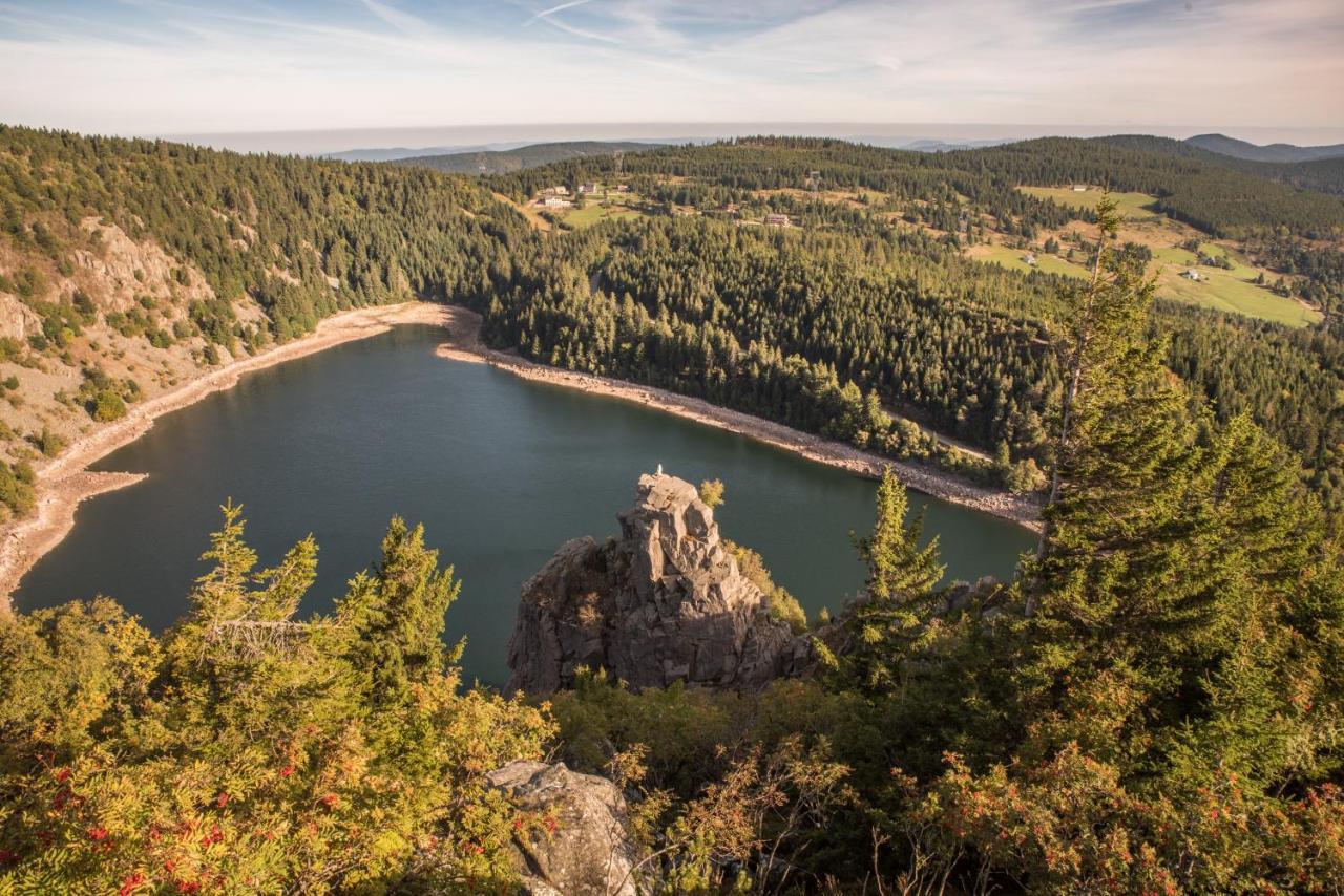 Terre De Sapins - Gites Nature Haut De Gamme Avec Sauna Au Coeur Du Lac Blanc 奥尔贝 外观 照片